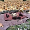 Portable Traditional Chess Board - Image 3